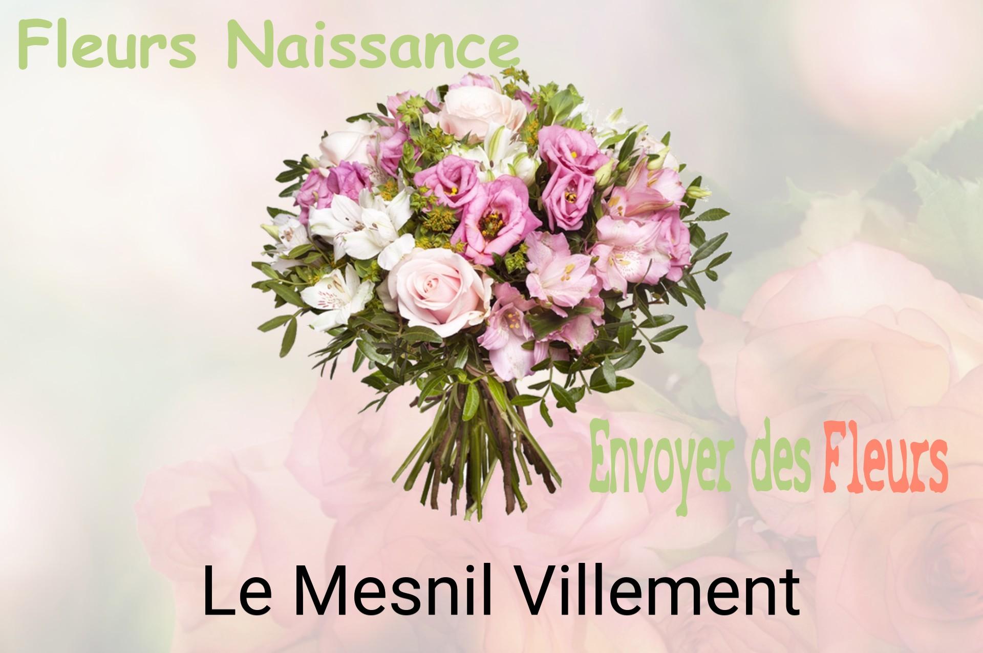 Bouquet de fleurs de naissance livré à Le Mesnil-Villement